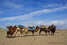 Монголия. Два полюса температур и одно настроение радости (часть 1-я).