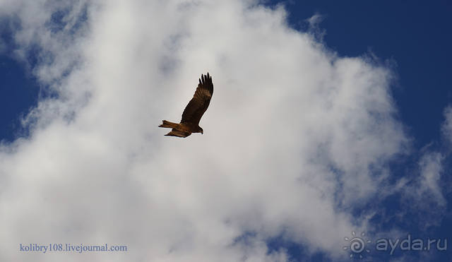 Монголия. Два полюса температур и одно настроение радости (часть 1-я).