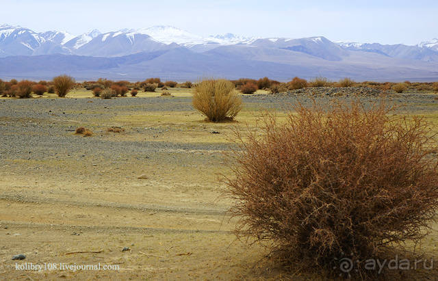 Монголия. Два полюса температур и одно настроение радости (часть 1-я).