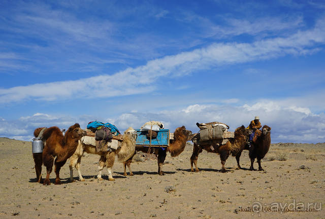 Монголия. Два полюса температур и одно настроение радости (часть 1-я).