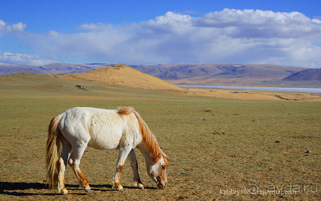 фото Монголии