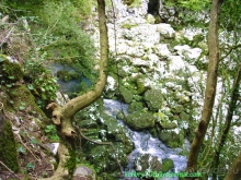 Мчишта - Черная речка. Абхазия.