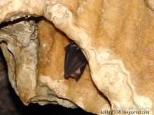 Мчишта - Черная речка. Абхазия.