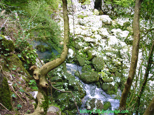 Мчишта - Черная речка. Абхазия.