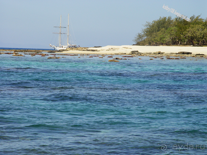 Спасение утопающих - дело рук самих утопающих (Фиджи).