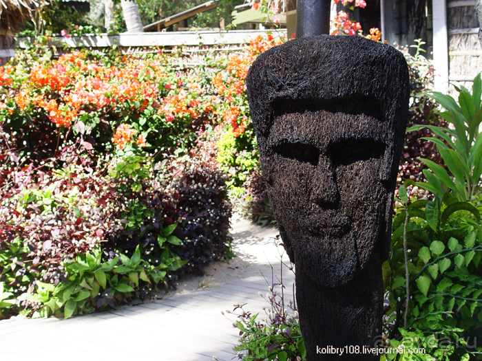 Спасение утопающих - дело рук самих утопающих (Фиджи).