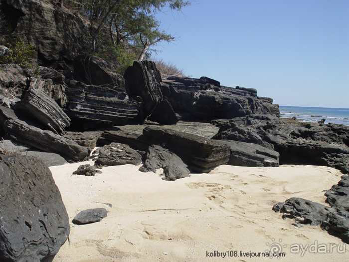 Спасение утопающих - дело рук самих утопающих (Фиджи).