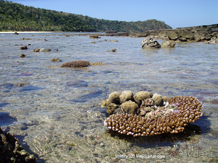 Спасение утопающих - дело рук самих утопающих (Фиджи).