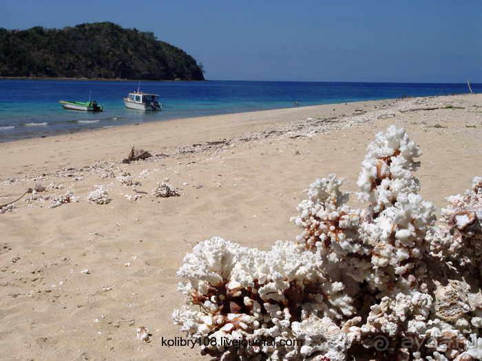Спасение утопающих - дело рук самих утопающих (Фиджи).