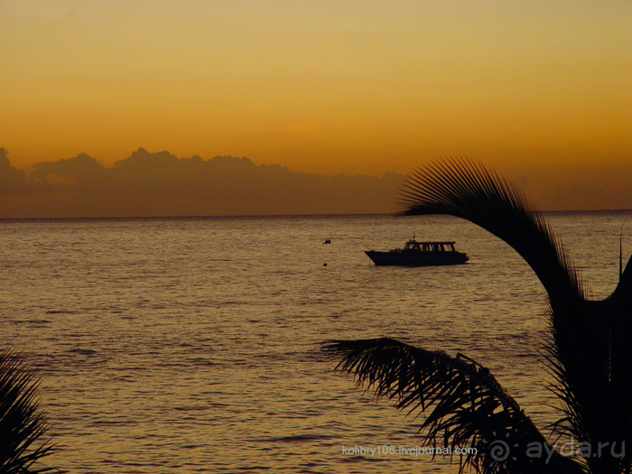 Спасение утопающих - дело рук самих утопающих (Фиджи).