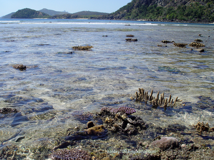 Спасение утопающих - дело рук самих утопающих (Фиджи).
