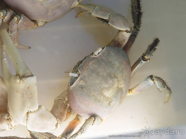 На велосипеде вокруг Бора-Бора