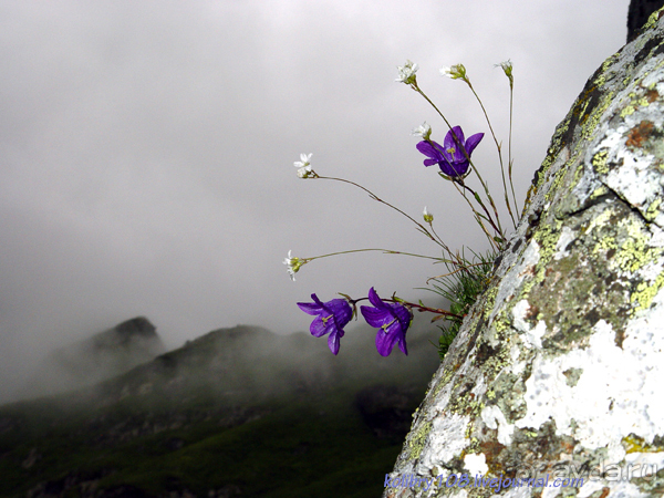Авадхара, озеро Мзы (Абхазия).