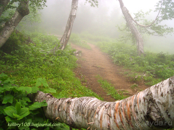 Авадхара, озеро Мзы (Абхазия).