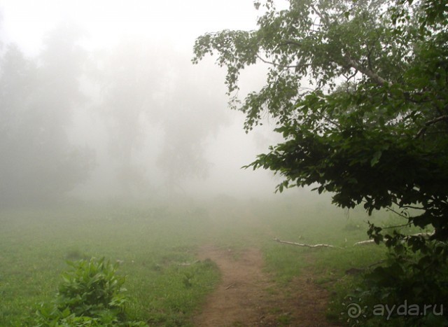 Авадхара, озеро Мзы (Абхазия).