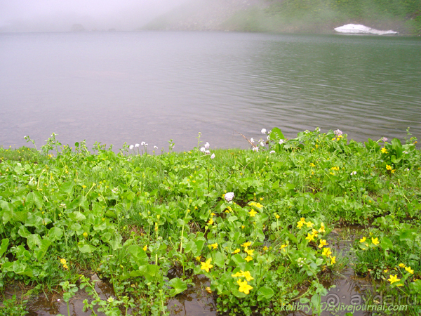 Авадхара, озеро Мзы (Абхазия).