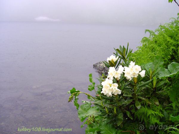Авадхара, озеро Мзы (Абхазия).