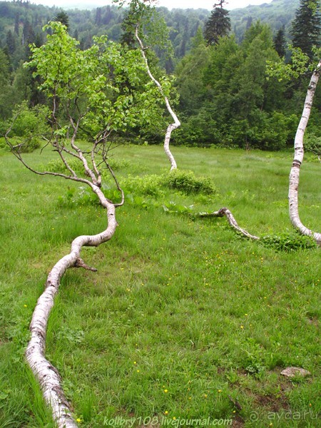 Авадхара, озеро Мзы (Абхазия).