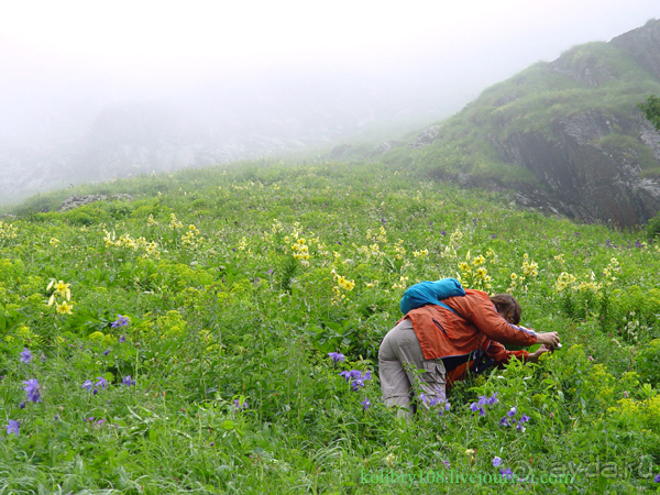 Авадхара, озеро Мзы (Абхазия).
