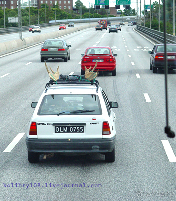 Скандинавия