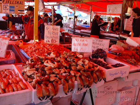 Скандинавия