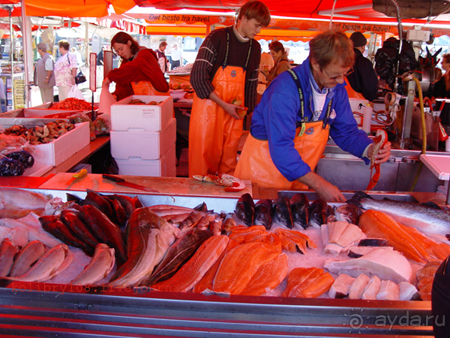 Скандинавия