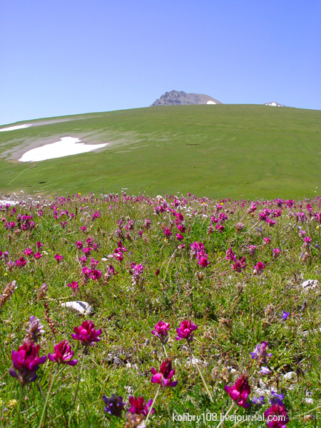 Плато Лаго-Наки (Адыгея).
