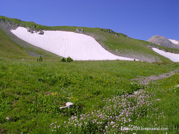 Плато Лаго-Наки (Адыгея).