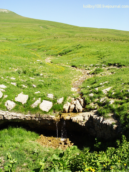 Плато Лаго-Наки (Адыгея).