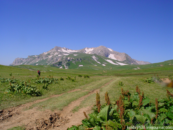 Плато Лаго-Наки (Адыгея).