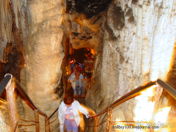 Плато Лаго-Наки (Адыгея).