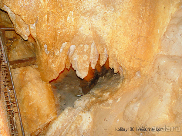 Плато Лаго-Наки (Адыгея).