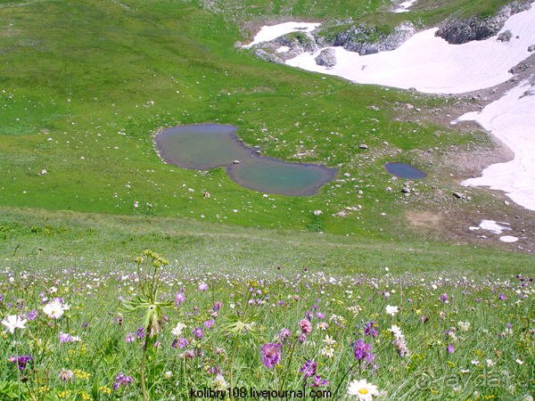 Плато Лаго-Наки (Адыгея).