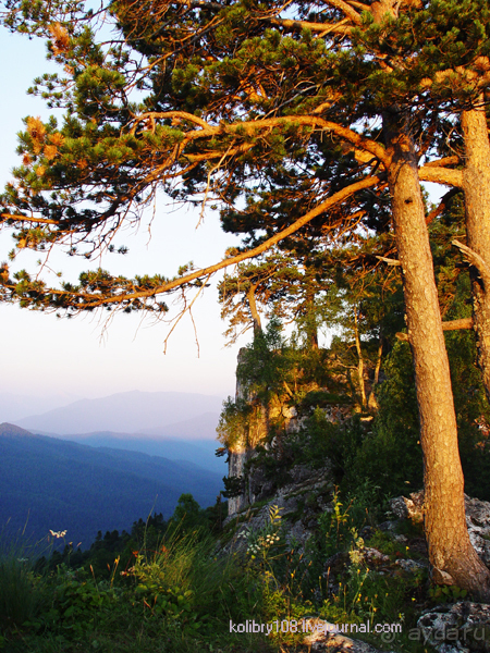 Плато Лаго-Наки (Адыгея).