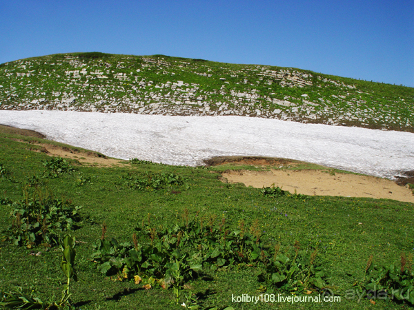 Плато Лаго-Наки (Адыгея).