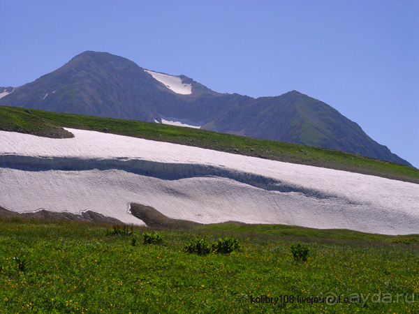 Плато Лаго-Наки (Адыгея).