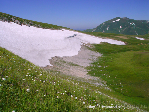 Плато Лаго-Наки (Адыгея).