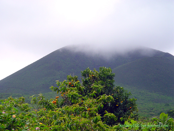 Галапагосы (продолжение)