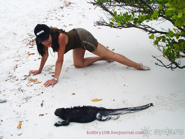 Галапагосы (продолжение)