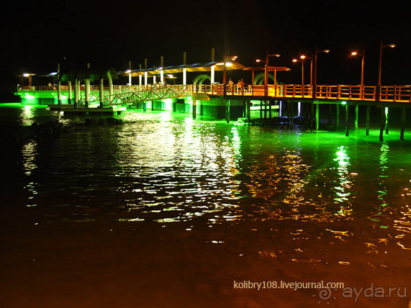 Галапагосы (продолжение)