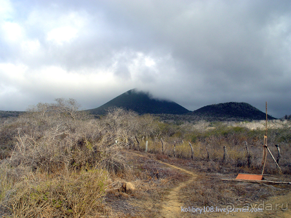 Галапагосы (продолжение)