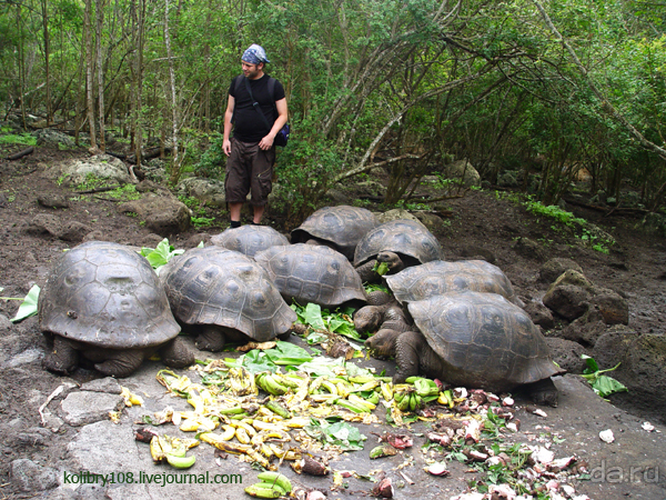 Галапагосы (продолжение)