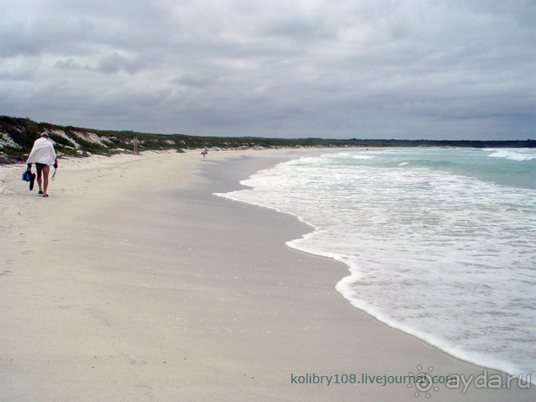 Галапагосы (продолжение)