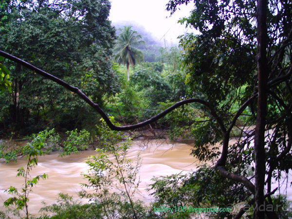 Таиланд. Почем жареные кузнечики (часть вторая).