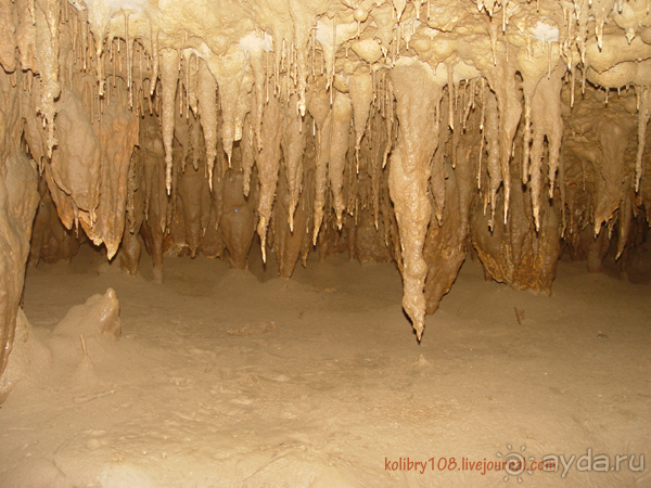 Таиланд. Почем жареные кузнечики (часть вторая).