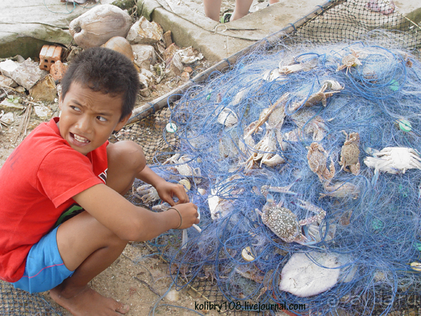 Таиланд. Почем жареные кузнечики (часть вторая).