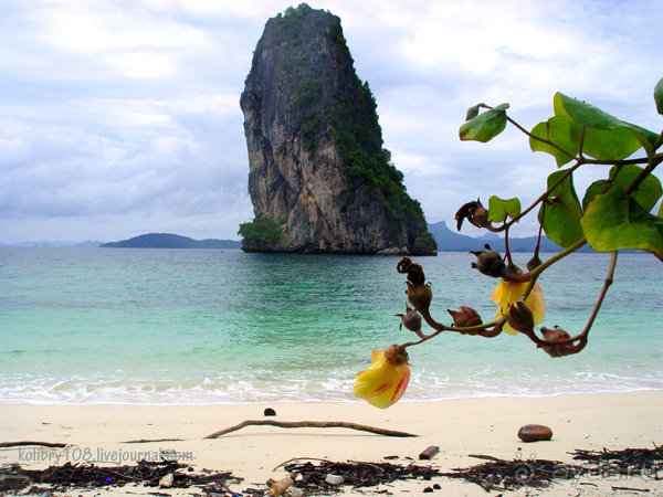 Таиланд. Почем жареные кузнечики (часть вторая).