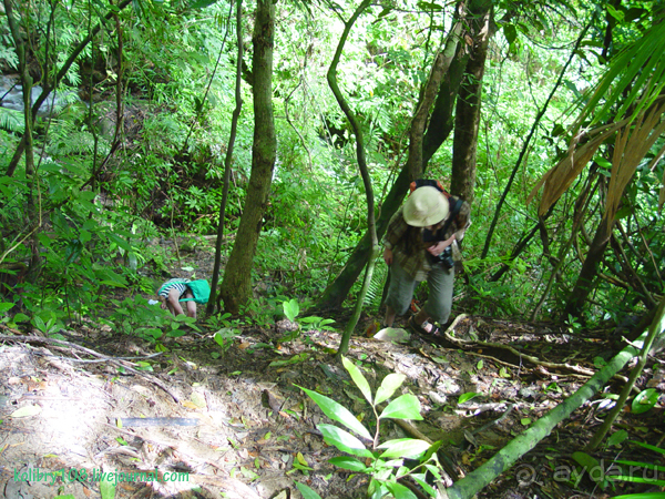 Таиланд. Почем жареные кузнечики (часть вторая).