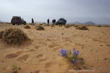 Монголия (по дороге удачи). часть 3-я.