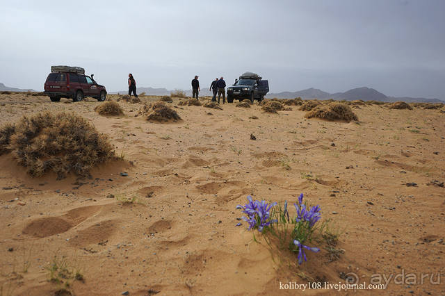 Монголия (по дороге удачи). часть 3-я.